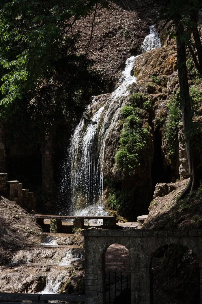 公园，树木，树，瀑布，水，巴赫，花园