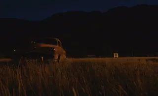 轿车,赤狐,地板砖,草原,飞机,僵尸恐怖