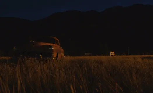 轿车,赤狐,地板砖,草原,飞机,僵尸恐怖 轿车,赤狐,地板砖,草原,飞机,僵尸恐怖