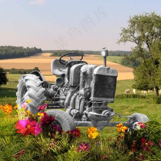 拖拉机，蒙太奇，鲜花