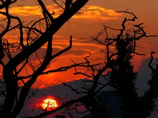 日落，太阳，天空，光，烧伤，发光，剪影