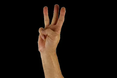 手，手指，三，手语