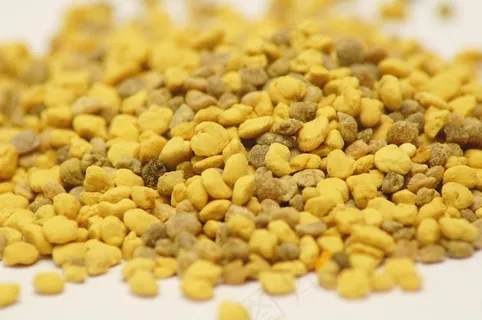 蜜蜂,花粉,花蜜,黄色 蜜蜂,花粉,花蜜,黄色