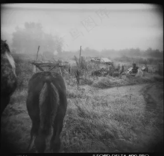 艺术画,油画,图画,素描,工艺品,雾中的马