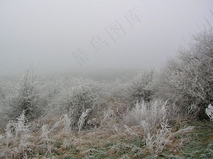 岩，冬天，弗罗斯特，冷，冻结，岩，雪
