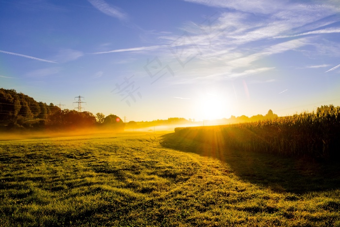 草地，日出，晨雾，雾，背光，太阳