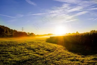 草地，日出，晨雾，雾，背光，太阳