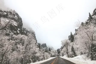 道路，冬冬季，冰，冻结，冻结，树木，路面