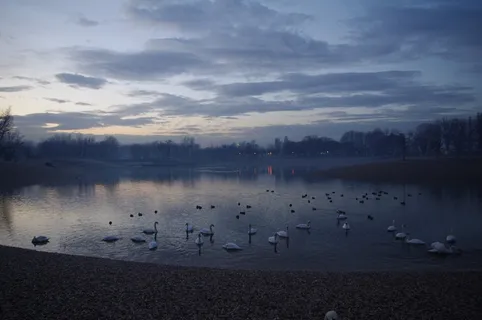 黄昏，晚上，黑暗，黑暗，黎明，水，湖泊，池塘