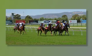 马匹，赛车，赛马会，体育，骑手，跟踪