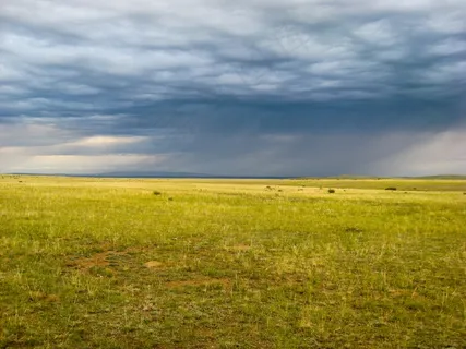 蒙古，草原，雨，云