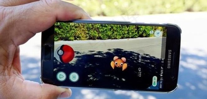 宠物小精灵功能