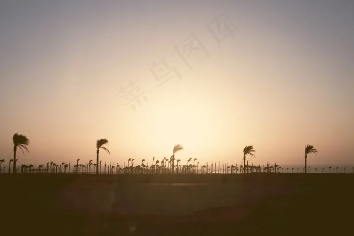 memories,天空,扎龙,湖泊,白鹤,手掌