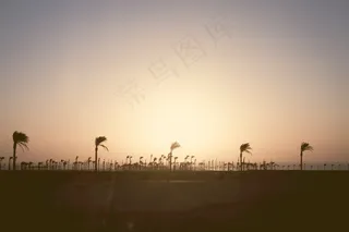 memories,天空,扎龙,湖泊,白鹤,手掌