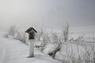 冬季，雾，冷，森林，树木，性质，雪，弗罗斯特