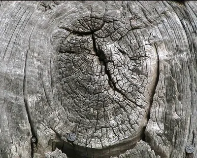 结,木,谷仓,风化,木,木材,圆环 结,木,谷仓,风化,木,木材,圆环