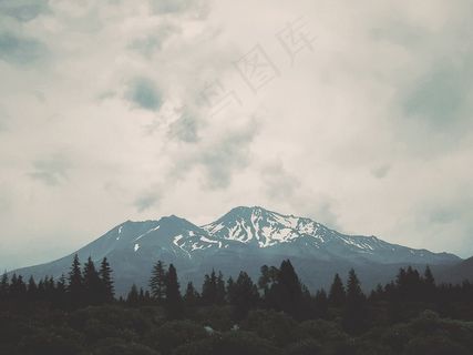 意见，山，高峰，首脑会议，岩山，返回页首，高，树木
