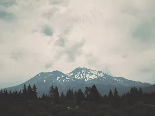 意见，山，高峰，首脑会议，岩山，返回页首，高，树木