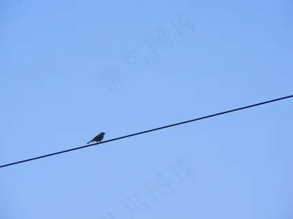天空,飞机,黑翅鸢,燕子,乌鸦,鸟栖息在电线上的剪影 天空,飞机,黑翅鸢,燕子,乌鸦,鸟栖息在电线上的剪影