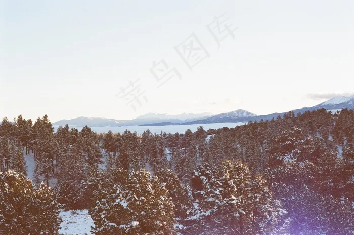 冰雪,山峦,湖泊,树,天空,雪林树木冬天