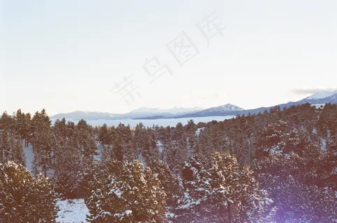 冰雪,山峦,湖泊,树,天空,雪林树木冬天
