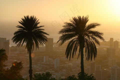 棕榈，日落，夏威夷，天堂，岛，夏天，自然