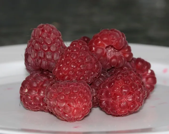 覆盆子，悬钩子Idaeus，浆果，红色，水果，甜