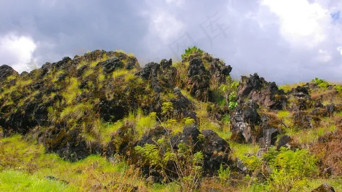 山，高峰，绿化，植物群，植被，植物