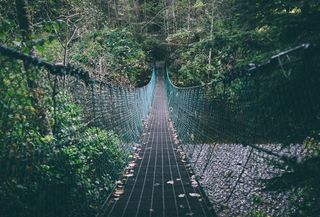 人行天桥，森林，树林，人行道，行人路，户外