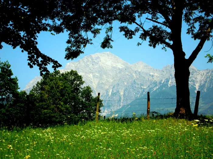 Steinernes Meer，田园诗，景观，植物，性质，太阳