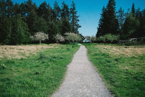现代建筑,树,村道,草地,风景,木材景观自然森林 现代建筑,树,村道,草地,风景,木材景观自然森林