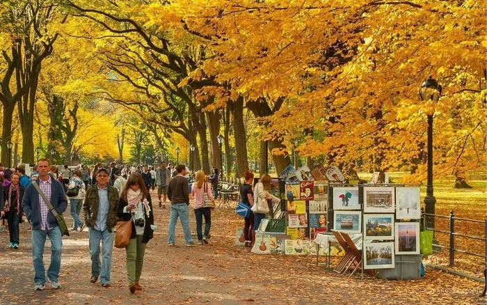 街道,银杏林,树,山峦,油画,今天挤在商场里