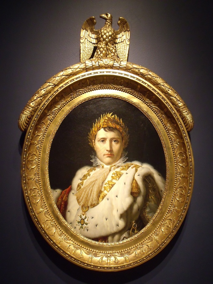 拿破仑，波拿巴，肖像，皇帝，法语，历史