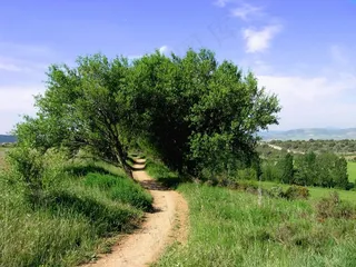 汉森，沙路，狭窄，徒步旅行，径，远足