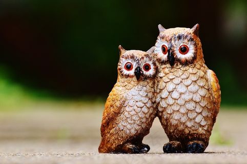 猫头鹰，鸟，数字，可笑，可爱，甜，对，猫头鹰