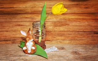 郁金香，黄色，花，春天的花朵，野兔，Dekohase