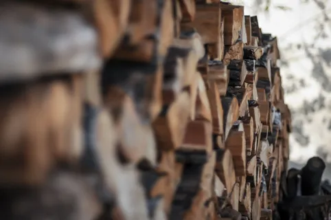 木材，木柴，荷斯坦宝，生长种群