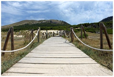 桥，Web，离，西班牙，架构，天空，自然