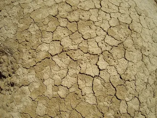 沙漠，地面破裂，干旱，夏天