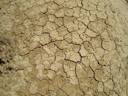 沙漠,地面破裂,干旱,夏天 沙漠,地面破裂,干旱,夏天