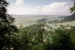 山峦,草原,生态林,树,自然公园,南部景观