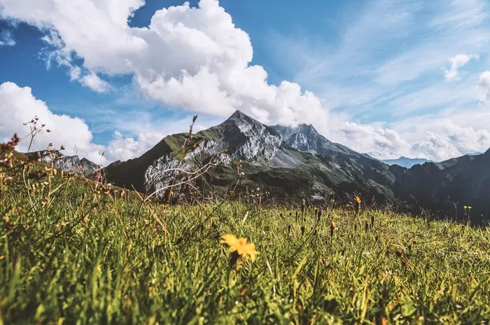 山，草地，草，植被，景观，自然