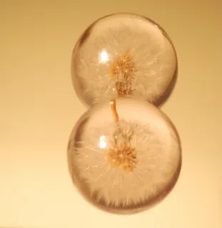 吸顶灯,酒杯,香水,台灯,过道灯,宝珠（18）