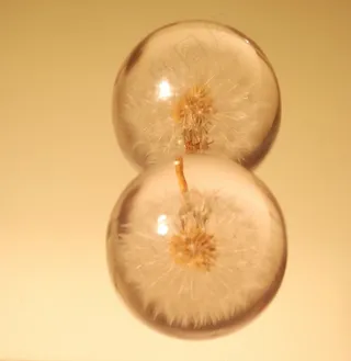 吸顶灯,酒杯,香水,台灯,过道灯,宝珠（18）