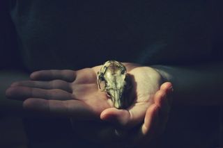 手,手指,仓鼠,手掌,黑斑蛙,245/365 “我们的爱被如此悲惨的声音牧场”