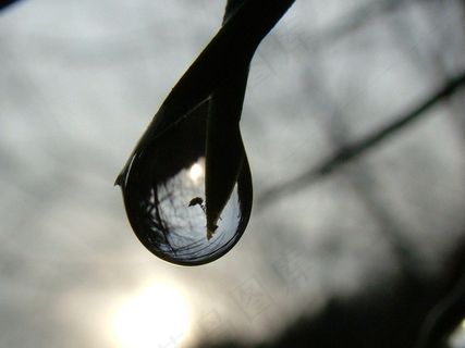 雨滴，镜像，滴灌，反射，分支，路