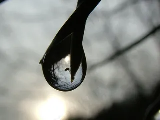 雨滴，镜像，滴灌，反射，分支，路