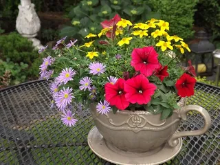 鲜花，杯，表，花卉图案，装饰