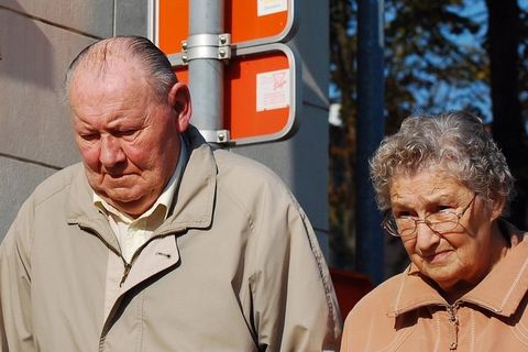 天龙特工队,卡通动漫人物,布鲁斯,小狗,图画,布鲁塞尔夫妇