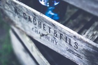 木，框，葡萄收获期，版式，错字，单词，存储